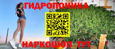 индика Первоуральск