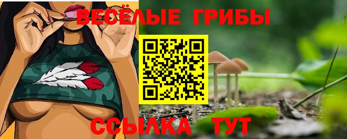 Галлюциногенные грибы MAGIC MUSHROOMS  Вход с VPN  дарнет шоп  Псилоцибиновые грибы прущие грибы  Рыбинск 